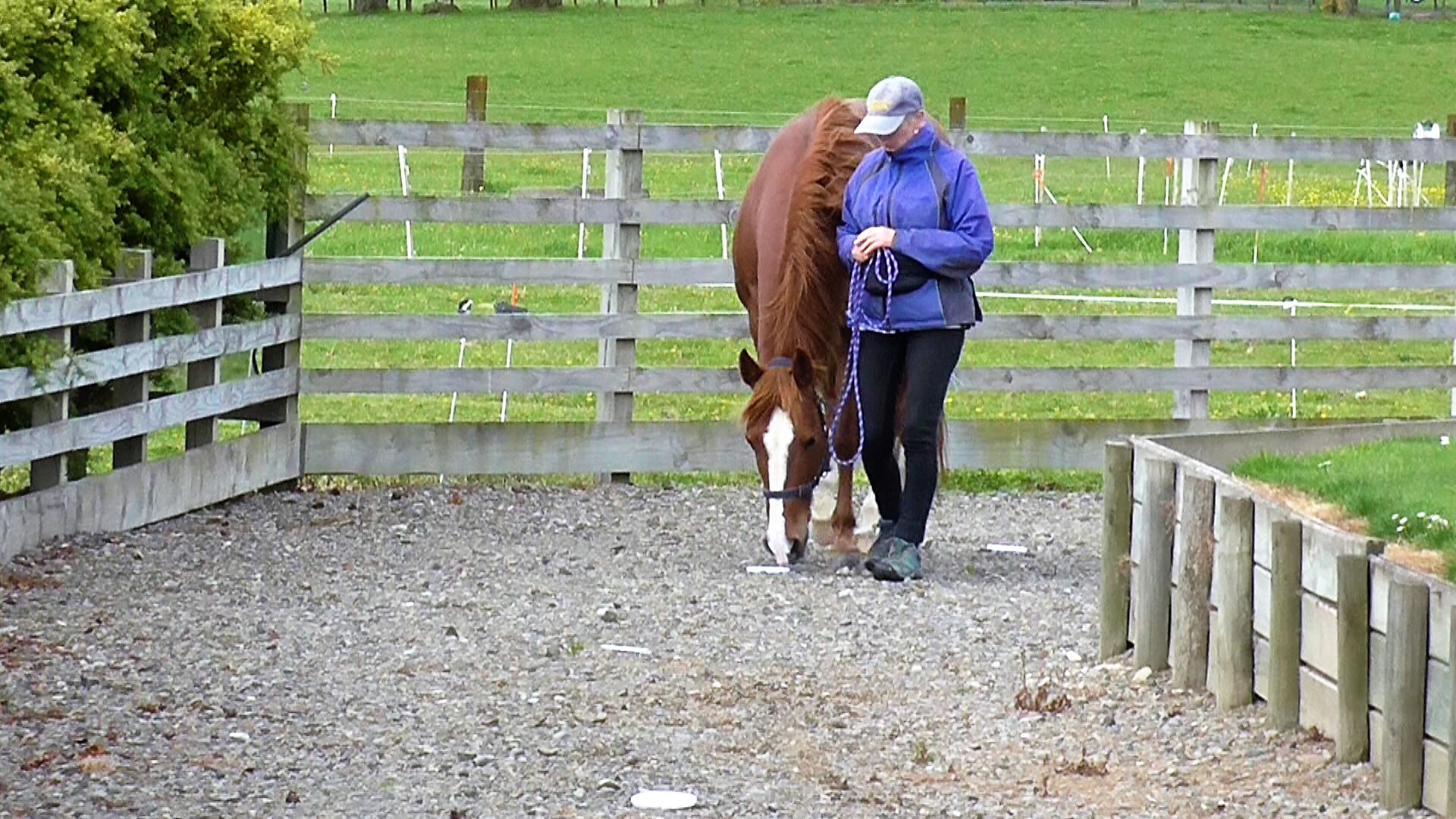 Target discs 1 10-26-2017_153255
