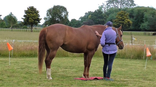 Click &amp; Scritch Bridget 01-08-2016_082102