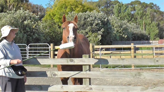 2 target 05-30-2015_215749